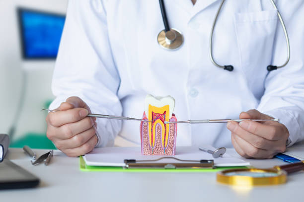 Best Chipped Tooth Repair Near Me  in La Crosse, WI